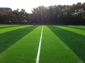 足球场人造草坪场地颜色为什么不一样