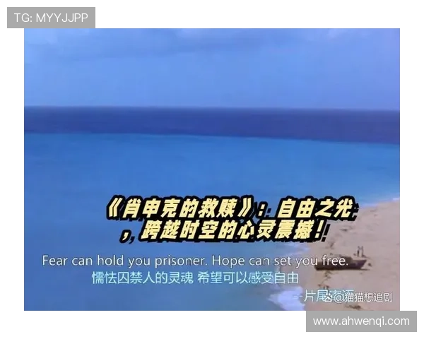 七磅：2008年那部震撼人心的电影，7个人，3段情，1个不可能的救赎