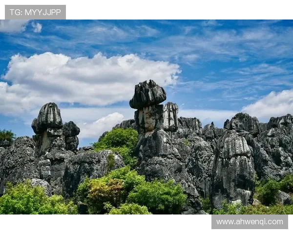 原始之美:重拾自然的呼唤,唤醒内在的野性
