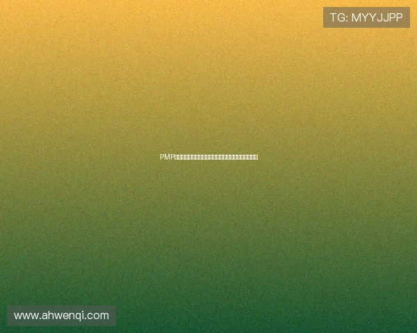 PMP电影：不止是荧幕上的光影，更是项目管理的智慧启迪