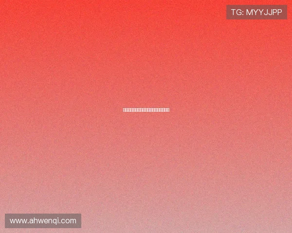 老呆和小呆：温暖治愈，点亮生活的小确幸